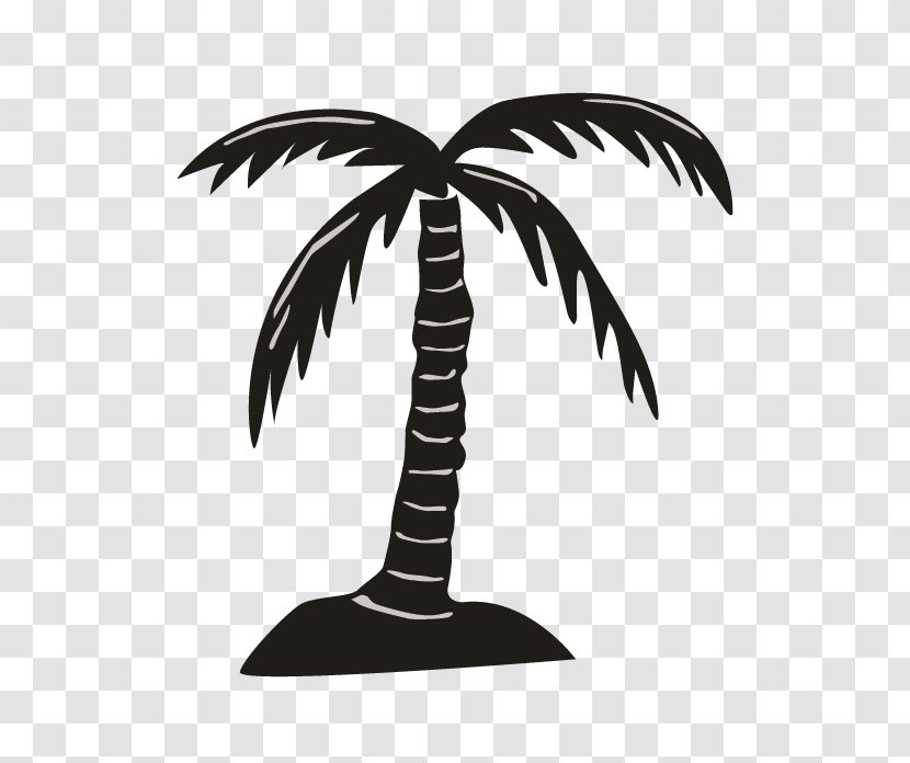 Arecaceae Silhouette Black White Transparent PNG