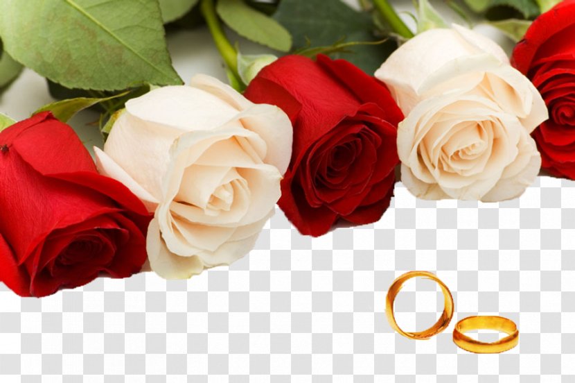 Rose Wedding Ring Flower Bouquet - Cut Flowers Transparent PNG