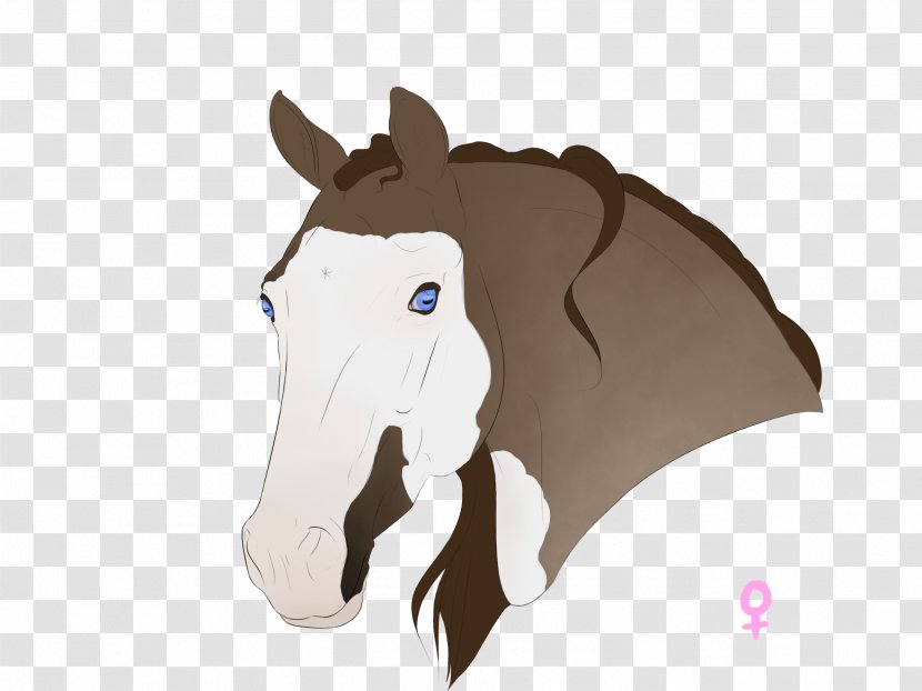 Horse Nose - Art Transparent PNG