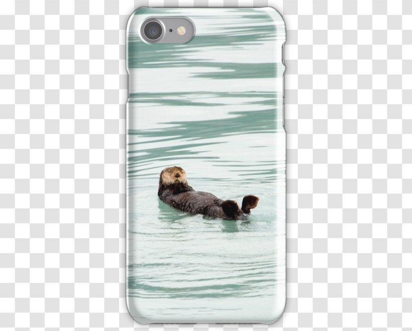 Sea Otter Lion Duck Transparent PNG