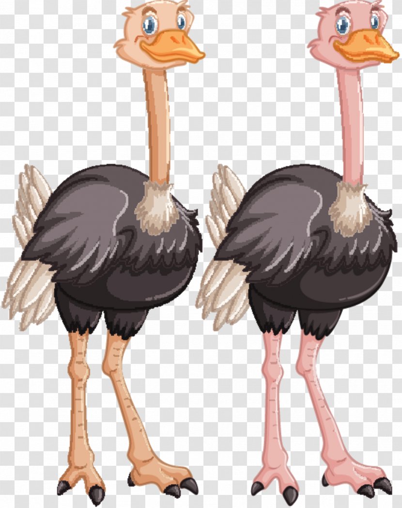 Common Ostrich Bird Emu Human Brain - Terrestrial Animal Transparent PNG