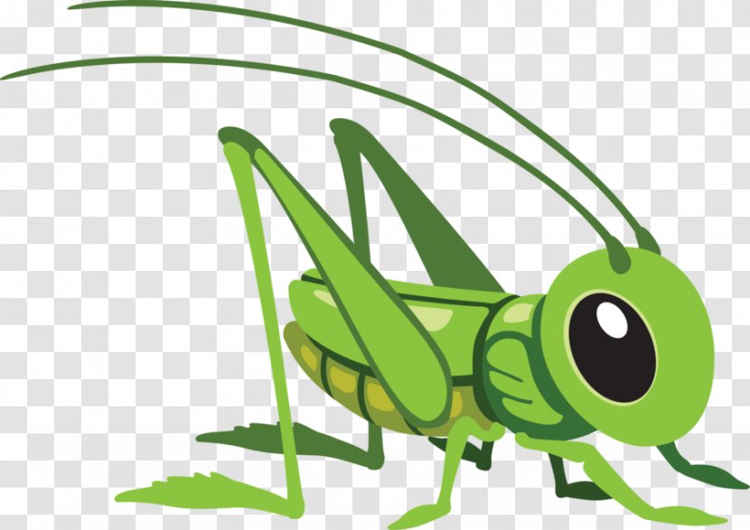 Grasshopper Cartoon Royalty-free Clip Art - Photography - Hand-painted Transparent PNG