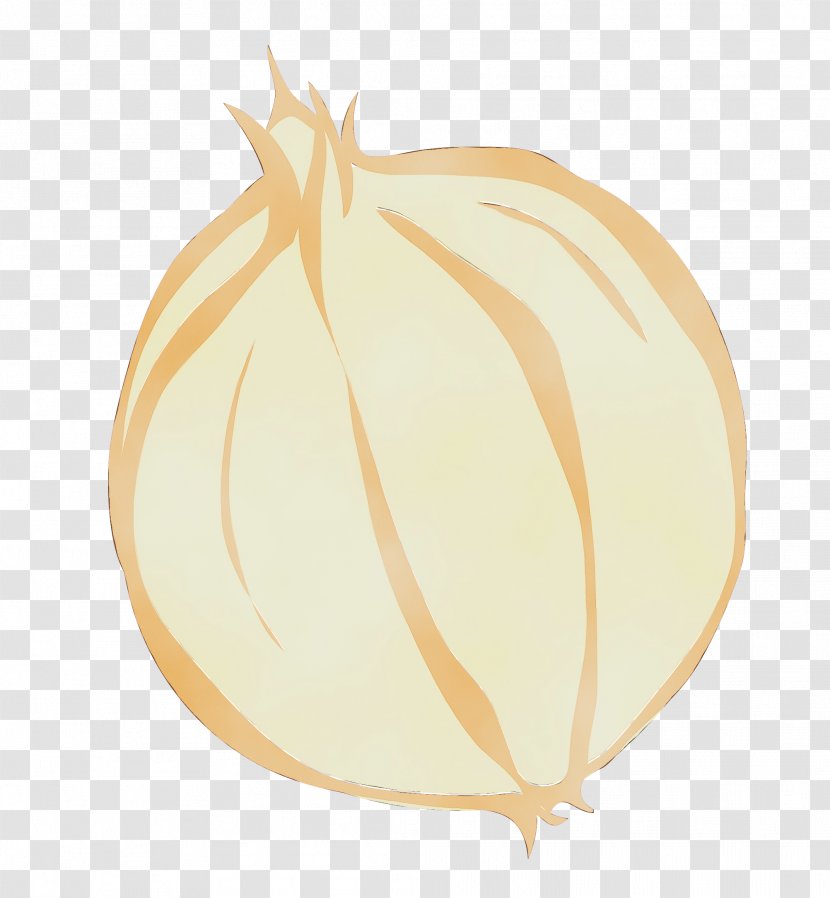 Watercolor Plant - Peruvian Groundcherry - Allium Transparent PNG