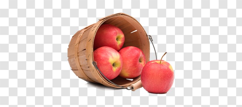 Apple Clip Art - Fruit Transparent PNG