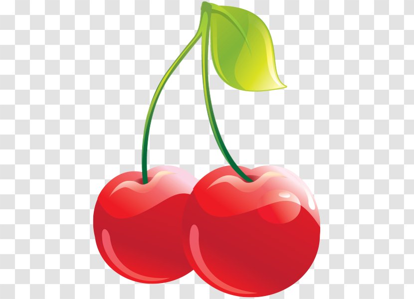 Cordial Cherry Clip Art Transparent PNG