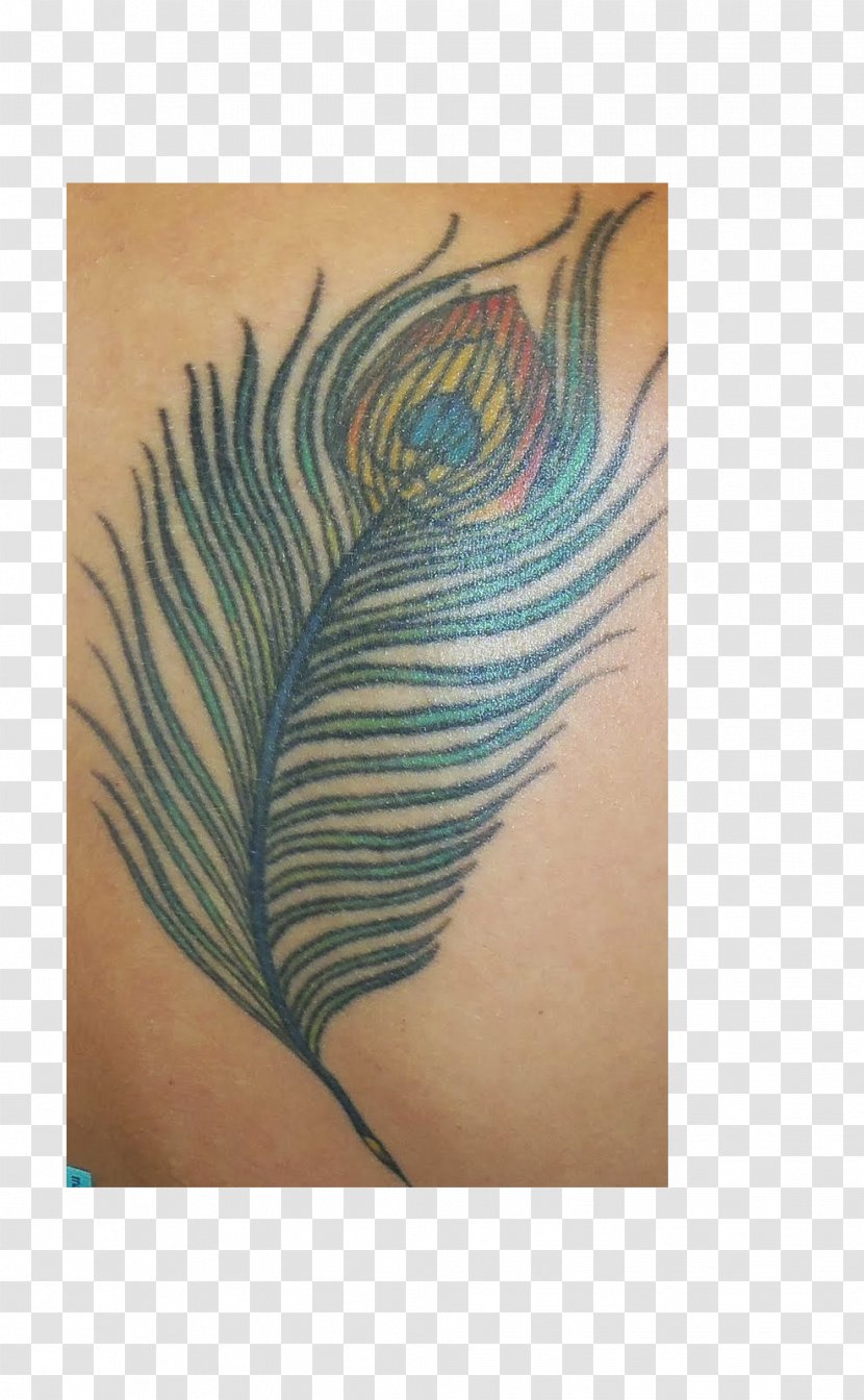 Bird Feather Tattoo Peafowl Arm - Quill - Peacock Transparent PNG