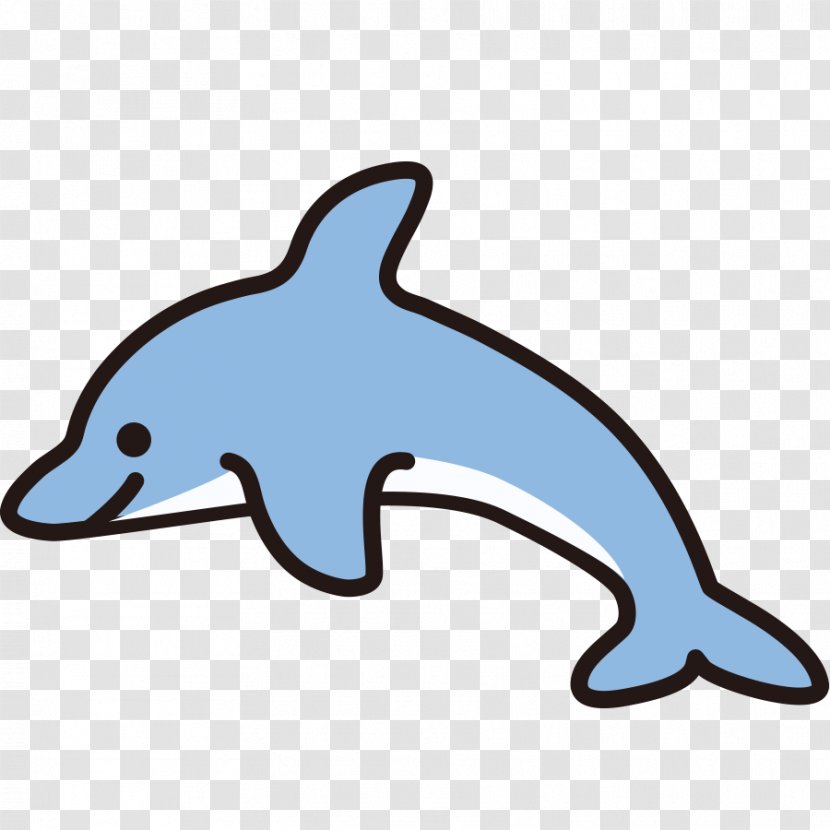 Common Bottlenose Dolphin Tucuxi Short-beaked Rough-toothed Porpoise - Shortbeaked Transparent PNG