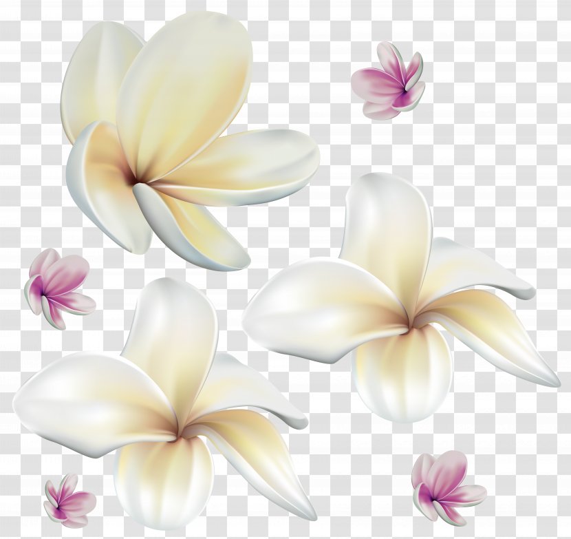 Flower Clip Art - Soft Exotic Flowers Image Transparent PNG