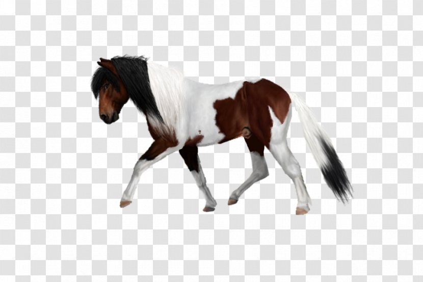 Mustang Pony Stallion Gallop Bridle - Mane Transparent PNG