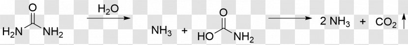 Alloxan Hydrate Organic Chemistry Anhydrous Murexide - Frame - Tree Transparent PNG