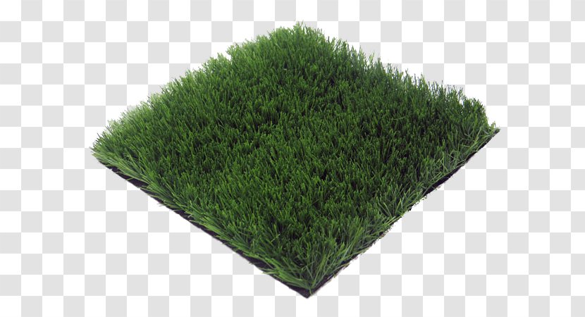 Artificial Turf Lawn Floor Prato Price - Grass Group Transparent PNG