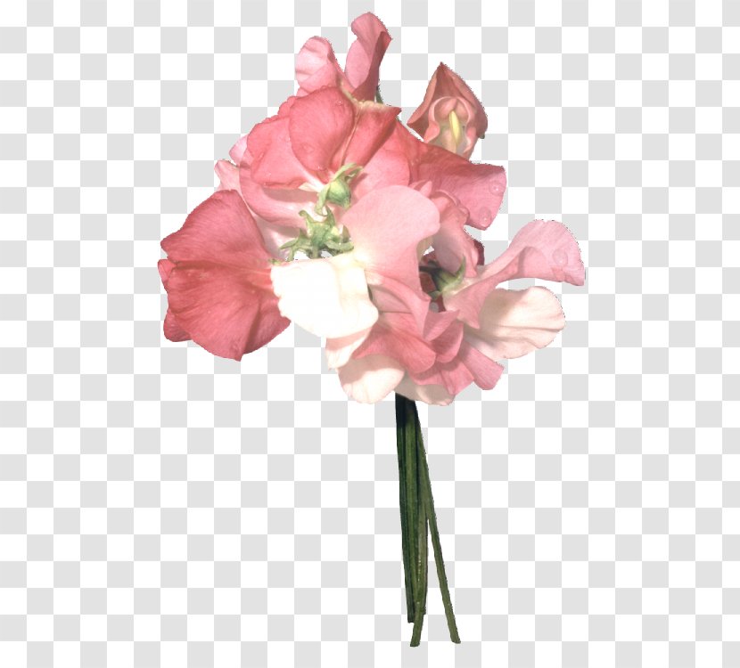 Floral Design Cut Flowers Rose Flower Bouquet - Colchicum Background Transparent PNG