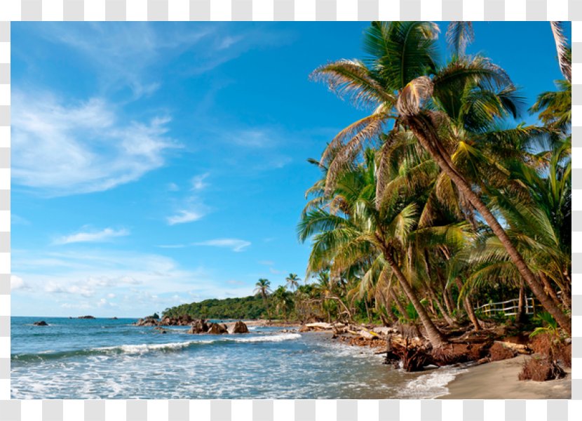 Gatun Lake Panama City Meteorology Caribbean Beach - Sea - Travellers' Wildlife Guides Costa Rica Transparent PNG