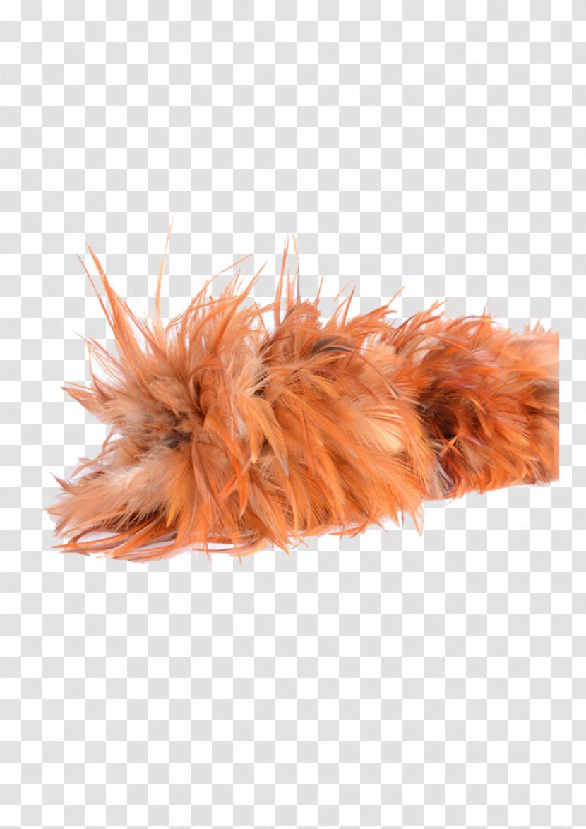 Feather Duster Cleaning - Tail Transparent PNG