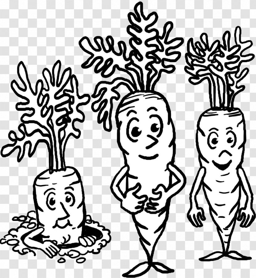 Clip Art /m/02csf Human Food Drawing - Flower - Carrot Black And White Clipart Transparent PNG