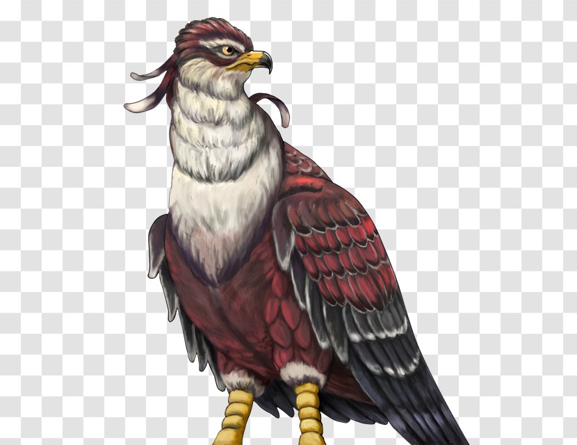 Eagle Owl Hawk Beak Feather - Bird Of Prey Transparent PNG