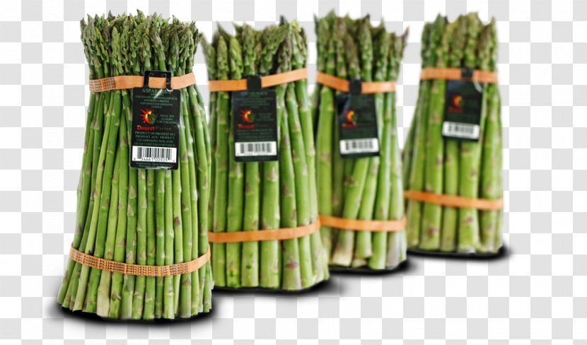 Asparagus Organic Food Farm Harvest Agriculture - Sales Transparent PNG