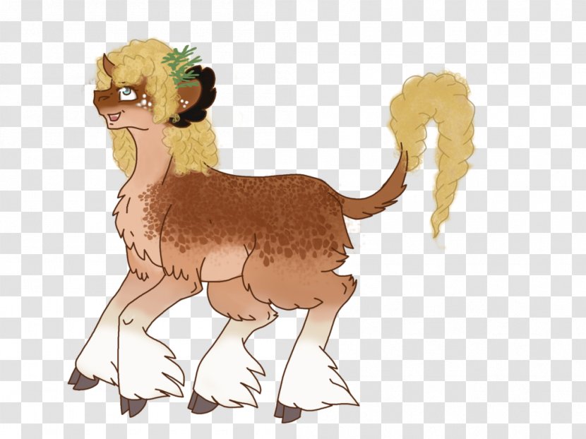 Lion Llama Sheep Horse Cat - Wildlife Transparent PNG