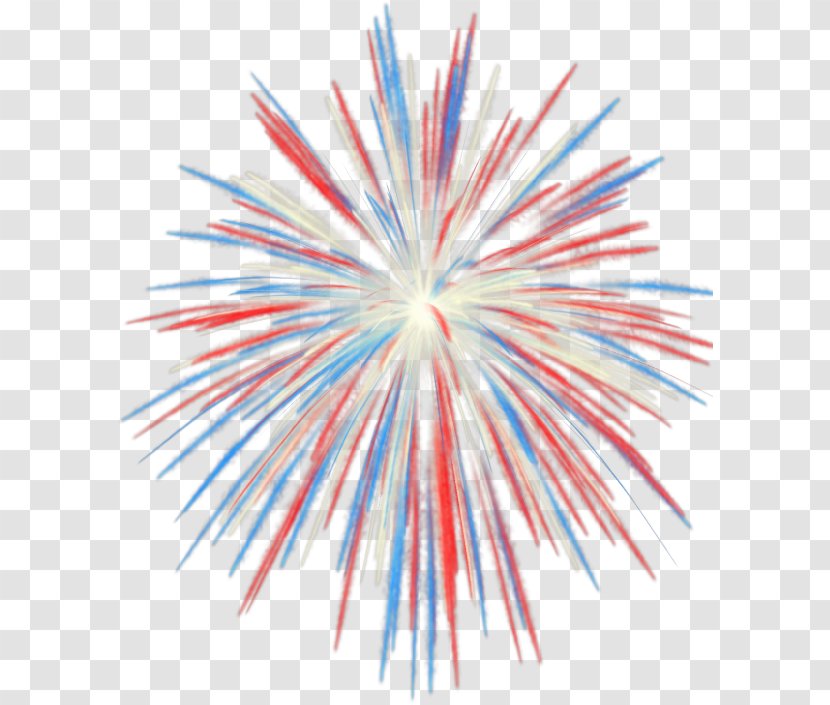 Fireworks Independence Day Clip Art - July Transparent PNG