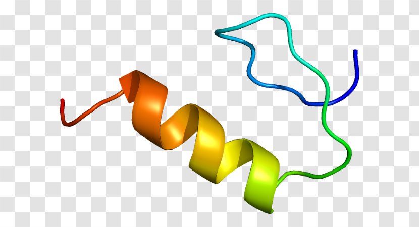 Sp1 Transcription Factor Protein Gene Transparent PNG