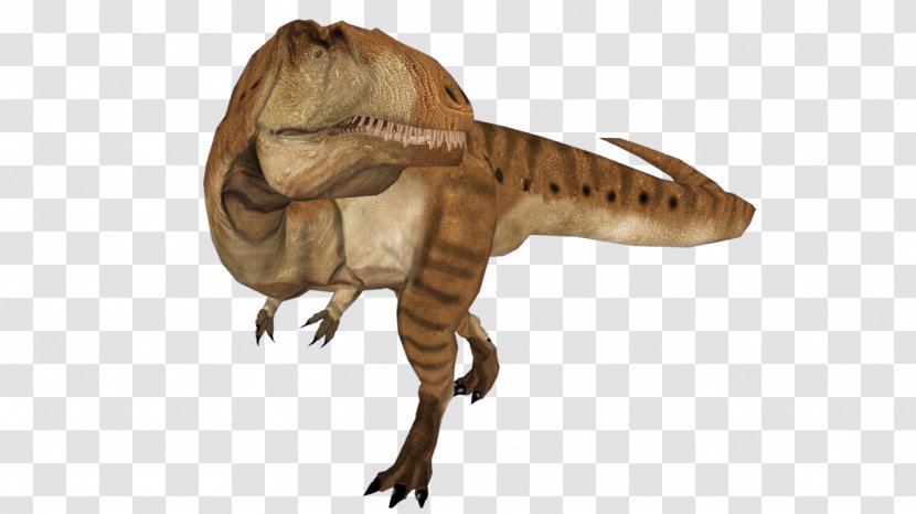 Tyrannosaurus Acrocanthosaurus Dinosaur Giganotosaurus Velociraptor - Roar Transparent PNG