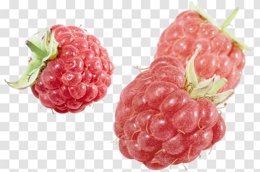Raspberry Gummi Candy Fruit Amora - Loganberry Transparent PNG