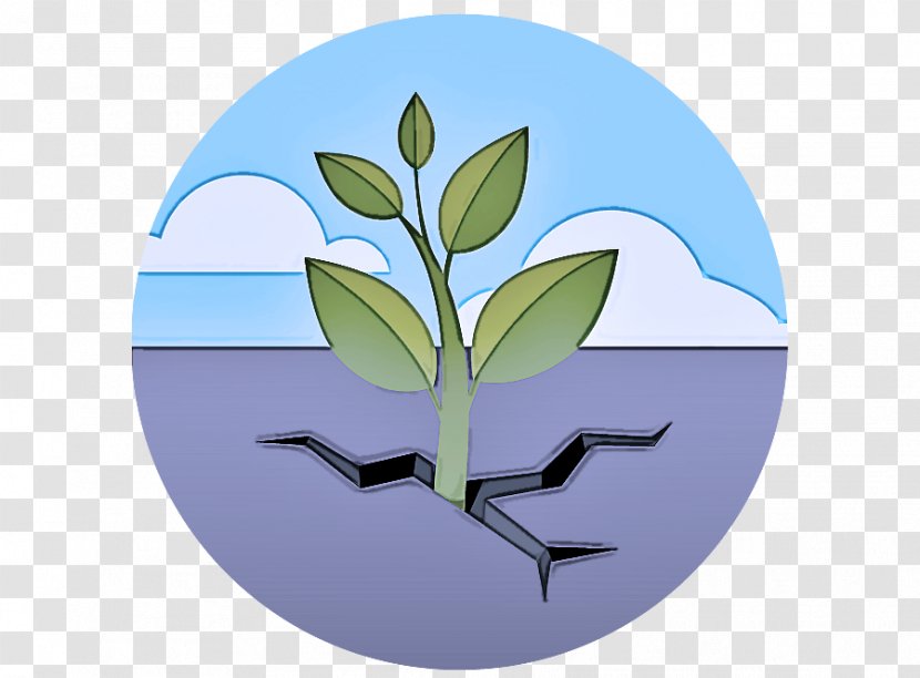 Green Leaf Plant Branch Tree - Stem Plate Transparent PNG