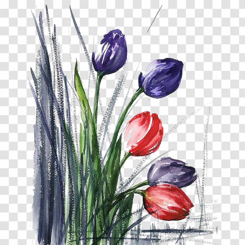 Floral Design Tulip Watercolor Painting Flower - Floristry - Sketch Picture Material Transparent PNG