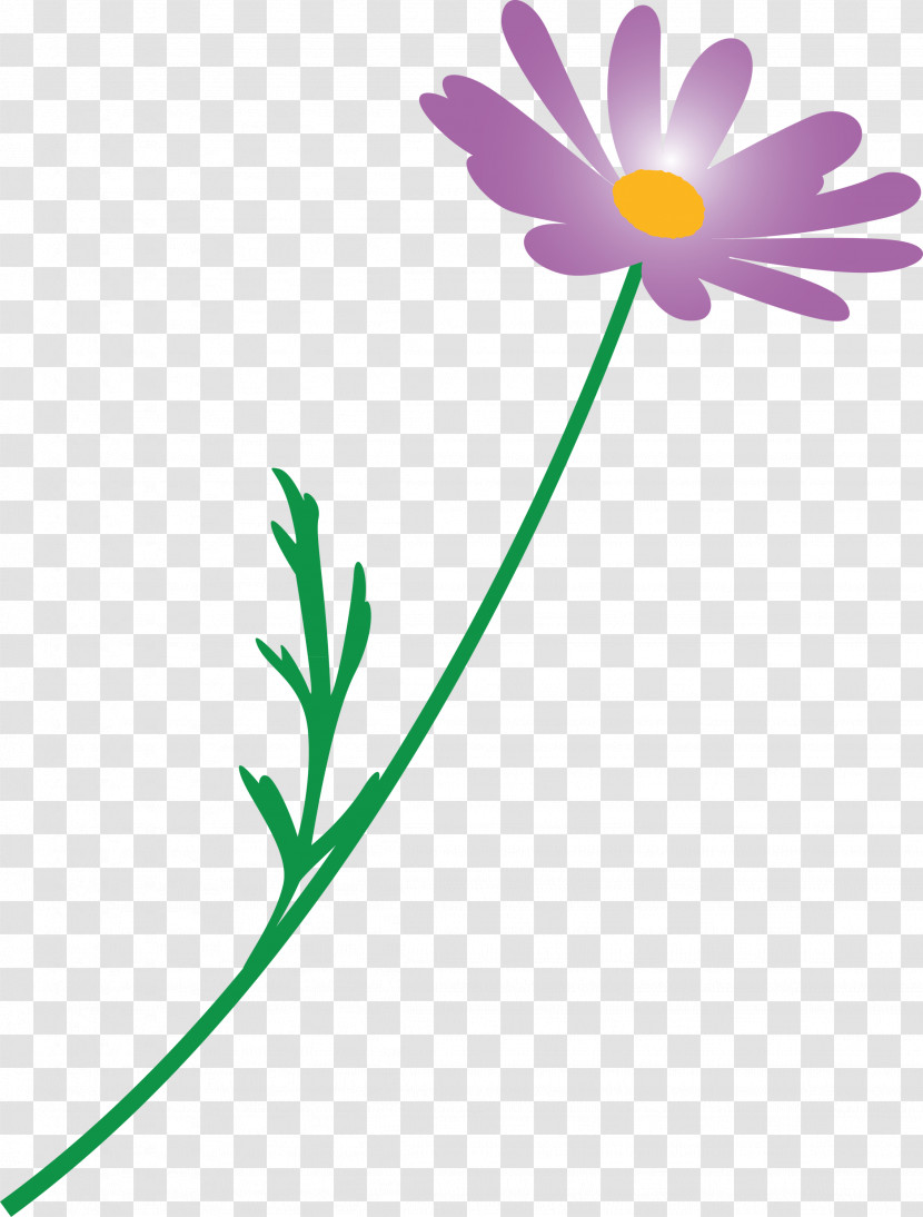 Marguerite Flower Spring Flower Transparent PNG