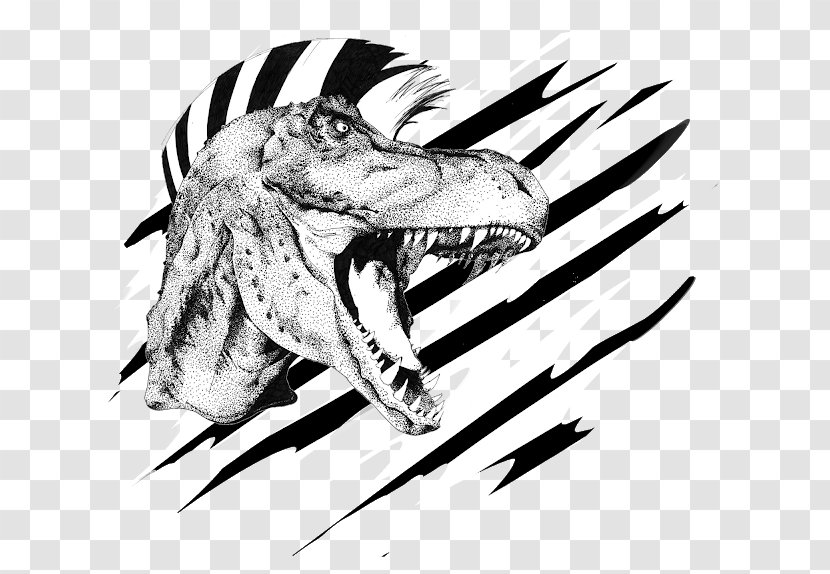 White Seafood Sketch - Drawing - Cute T Rex Transparent PNG