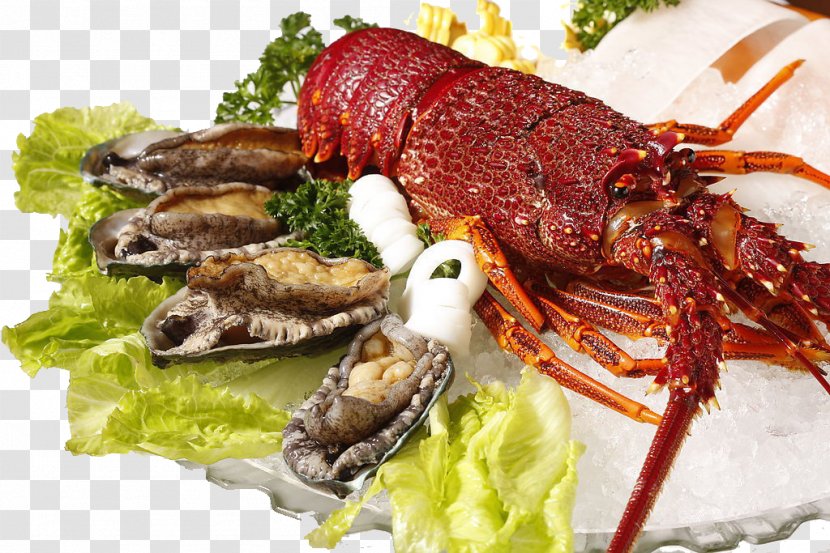 Lobster Seafood Palinurus Elephas Shrimp Transparent PNG