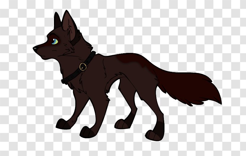 Schipperke Red Fox Big Bad Wolf Carnivora - Black Transparent PNG