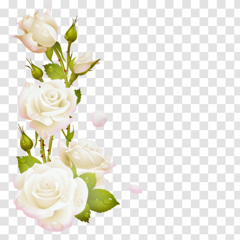 Floral Design Garden Roses Flower Embroidery Decorative Arts - Rosa Centifolia Transparent PNG