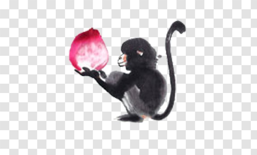 Xiantao Monkey Pouteria Campechiana - Primate - Take Transparent PNG