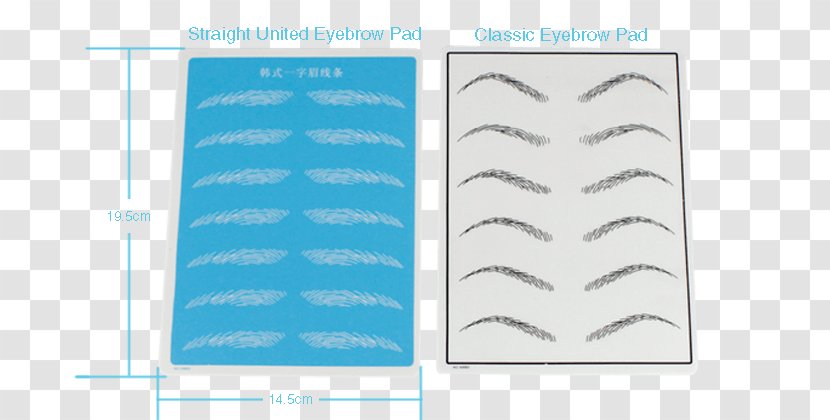 Paper Product Design Line Angle - Brand - Microblading Eyebrow Transparent PNG