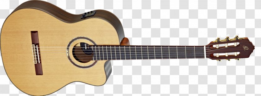 Acoustic Guitar Fender Musical Instruments Corporation Acoustic-electric Takamine Guitars Transparent PNG