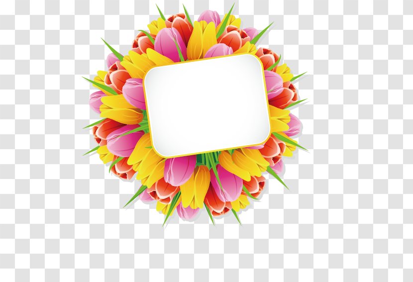 Flower Euclidean Vector - Tulip - Tulips Tags Transparent PNG