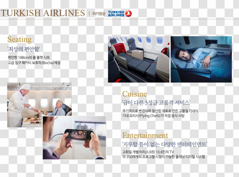 Turkish Airlines Business Korean Air Delta Lines Etihad Airways Transparent PNG