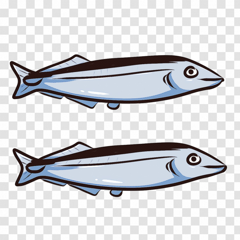 Fish Font Automobile Engineering Biology Science Transparent PNG