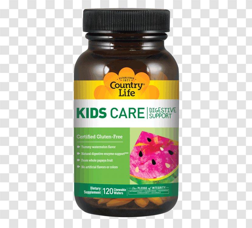 Dietary Supplement Digestive Enzyme Digestion Probiotic Child Transparent PNG