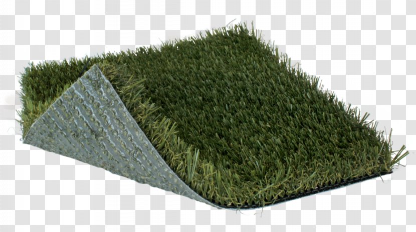 Artificial Turf Lawn Sod Mat Paspalum Notatum - Grass Transparent PNG