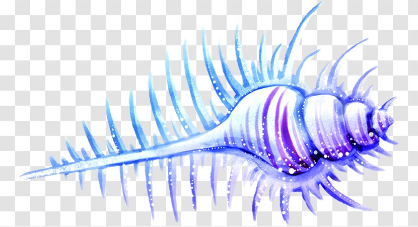 Conch Sea Snail - Animation - Blue Cartoon Hand Painted Beautiful Transparent PNG