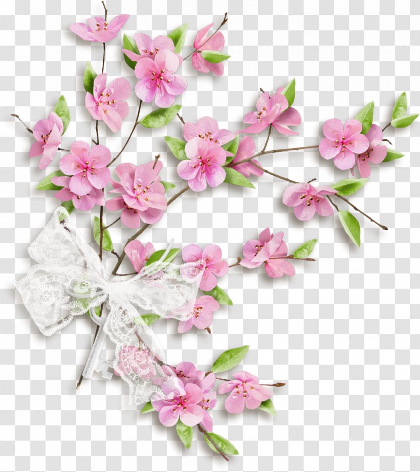 Cut Flowers Floral Design Petal - Branch - Cherry Blossom Transparent PNG
