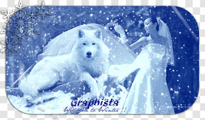 West Highland White Terrier Arctic Polar Bear Blue - Icem Transparent PNG