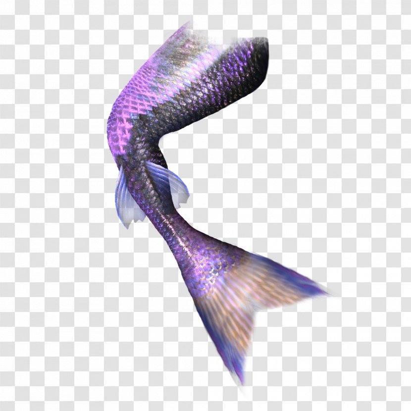 Mermaid Tail Computer File - Product Design - Pretty Purple Transparent PNG