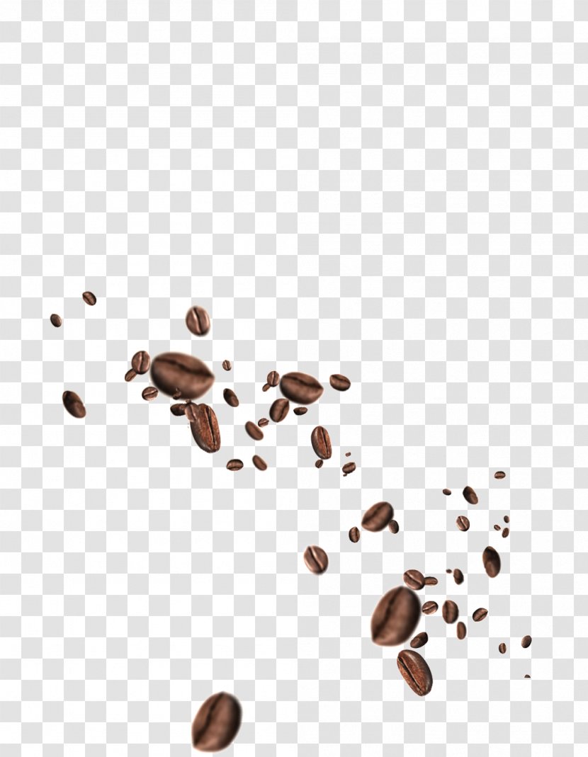 Espresso Coffee Bean Tea Tamper - Wattleseed Transparent PNG