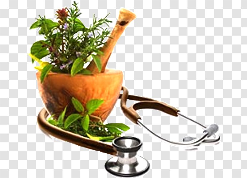 Herbalism Medicine Health Green Acupuncture - Tree Transparent PNG