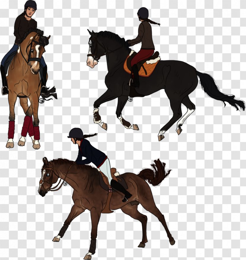 Horse Drawing Hunt Seat Digital Art - Mane Transparent PNG