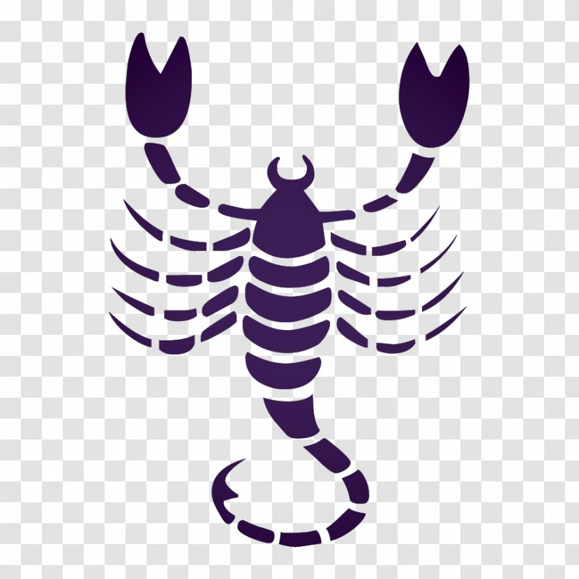 Scorpio Astrological Sign Sun Astrology Zodiac - Membrane Winged Insect Transparent PNG