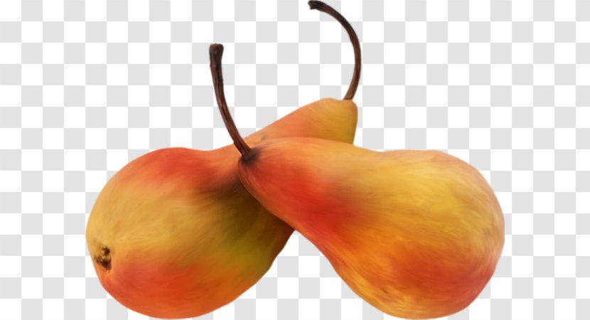 Pear Accessory Fruit Auglis Desktop Wallpaper - Photography - Crisp Transparent PNG